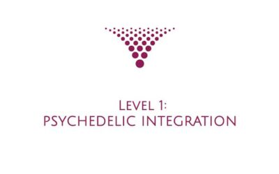 LEVEL 1: Psychedelic Integration