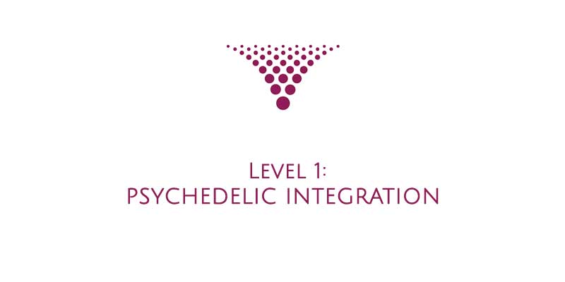 LEVEL 1: Psychedelic Integration